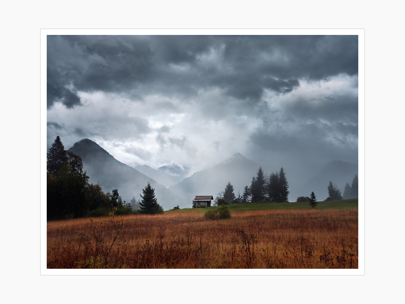 Max Schiefele Alle Bilder  DSF2633